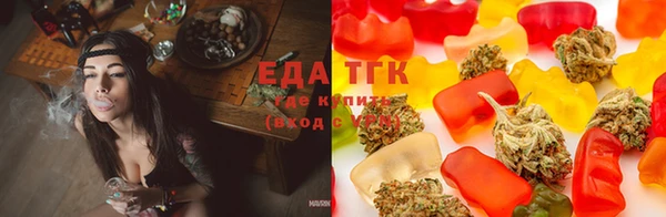 прущие грибы Абинск