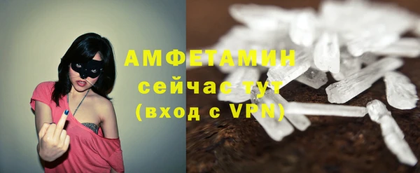 прущие грибы Абинск
