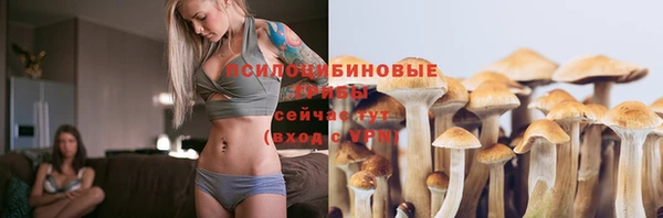 твердый Алзамай