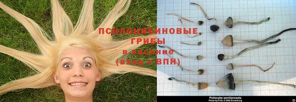 первитин Абдулино