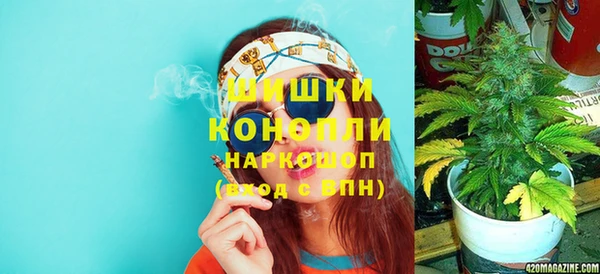 прущие грибы Абинск
