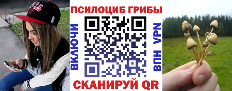 наркота  Северская  Галлюциногенные грибы Psilocybine cubensis 